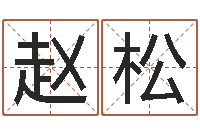 赵松广告公司名字-潮易风水