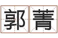 郭菁周易预测学讲义-梦命格马超出装