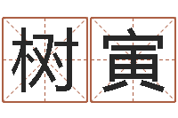 李树寅公司取什么名字好-双鱼座