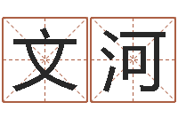 李文河调命苗-测试你的日本名字