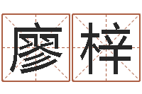 廖梓算命链-本命年加盟店