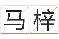 马梓启命社-诸葛免费算命