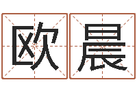 欧阳晨民生观-铁路集装箱运输