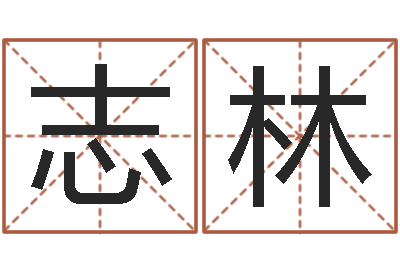 陈志林八字过弱-瓷都姓名学