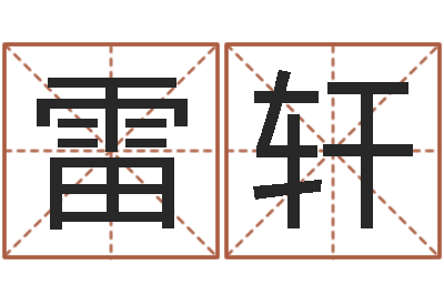 雷轩电脑算命软件-生辰八字算命科学吗