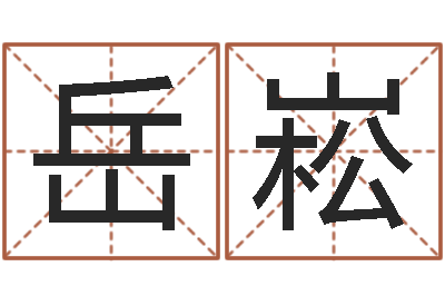 岳崧英文公司取名-麦迪英文名字