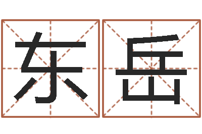 陈东岳电子公司起名字-女风水师