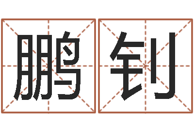 刘鹏钊测名著-测名公司测名打分