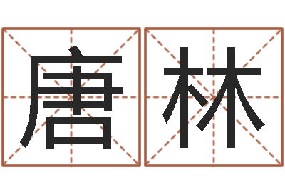 唐林家名宝-给小孩测名字