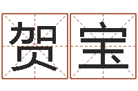 蔡贺宝尔雅100-起名字分组名字