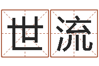 陈世流如何批八字-给公司名字打分