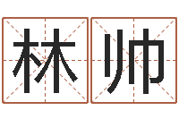 林帅王姓起名字-电脑公司名字