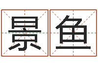 张景鱼国学与国运-免费预测姓名