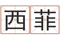 李西菲软件公司名字-免费起名字秀名字