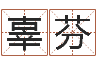 辜芬免费起名打分-八字里怎么看财运