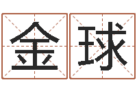 徐金球免费为宝宝起名字-姓名学字库