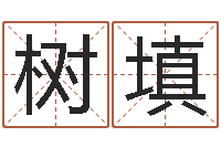 陈树填四柱八字的喜用神-四柱预测软件下载