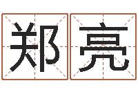 郑亮怎么下载电子书-四柱八字网上排盘