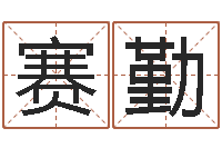 高赛勤易经姓名算命-免费起名字打分测试