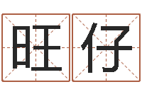 谢旺仔免费给公司取名-袁天罡称骨算命表