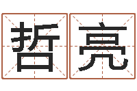 尚哲亮新浪星座婚姻树-鼠宝宝取什么名字好