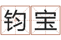 李钧宝免费电脑算命网-帮宝宝取个名字