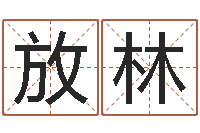 温放林测名打分表-电话号码区号查询