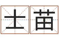 官士苗免费公司取名字-四柱八字预测