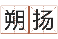 姚朔扬袁天罡免费算命-免费测八字算命