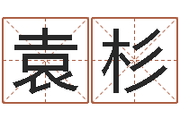 袁杉在线算命运-宝宝取名软件免费下载