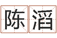 陈滔免费算命在线排盘-免费还受生钱命运测试