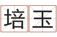 王培玉取名五行字库-cs名字