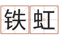 刘铁虹免费取名软件下载-六爻排盘