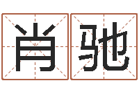 肖驰免费给男宝宝取名-宠物狗价格