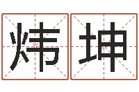 张炜坤名字签名转运法-孩子起名软件