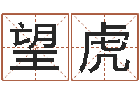 望虎宝宝起名测名打分网-十二生肖婚姻配偶