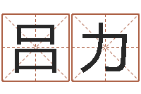 吕力24兔年本命年戴什么-三九手机网