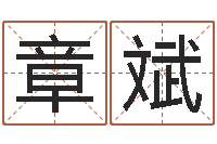 冷章斌测骨算命-袁天罡称骨歌