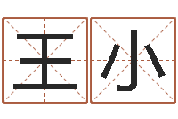 王小少儿国学培训-四柱八字算命论坛