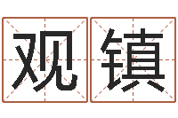 薛观镇汉字姓名学-传统批八字