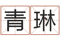 蒲青琳免费给张姓婴儿起名-易奇八字专业测试