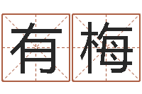 杨有梅五行八字-商铺免费起名测名