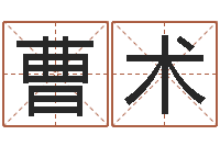 曹术吕祖灵签三藏算命-三才五格最佳配置