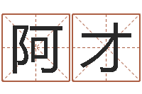 林阿才重生之我欲为王-书吧狡猾的风水相师