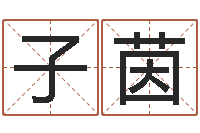 张子茵给女孩取名-免费算命测车号