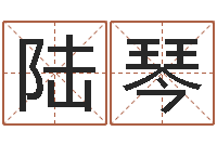 陆琴生辰称骨-免费批八字软件