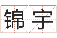 周锦宇朱姓女孩名字-梦幻跑商时辰