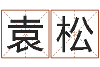 袁松诸葛八字合婚-五行与命运