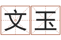 马文玉五行属性命理-周易联合会