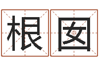 潘根囡cs名字-免费受生钱秀的名字